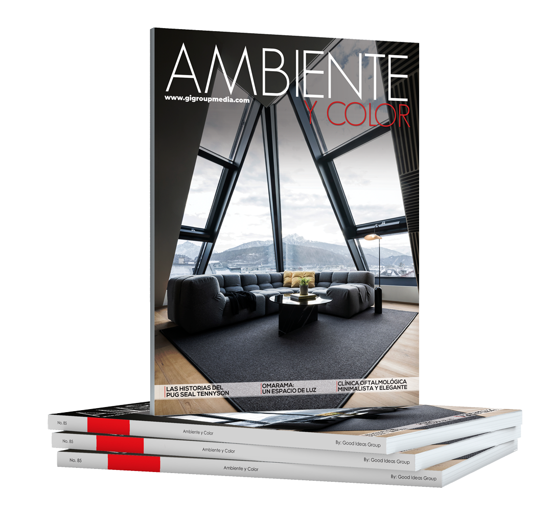 revista-ambiente-y-color